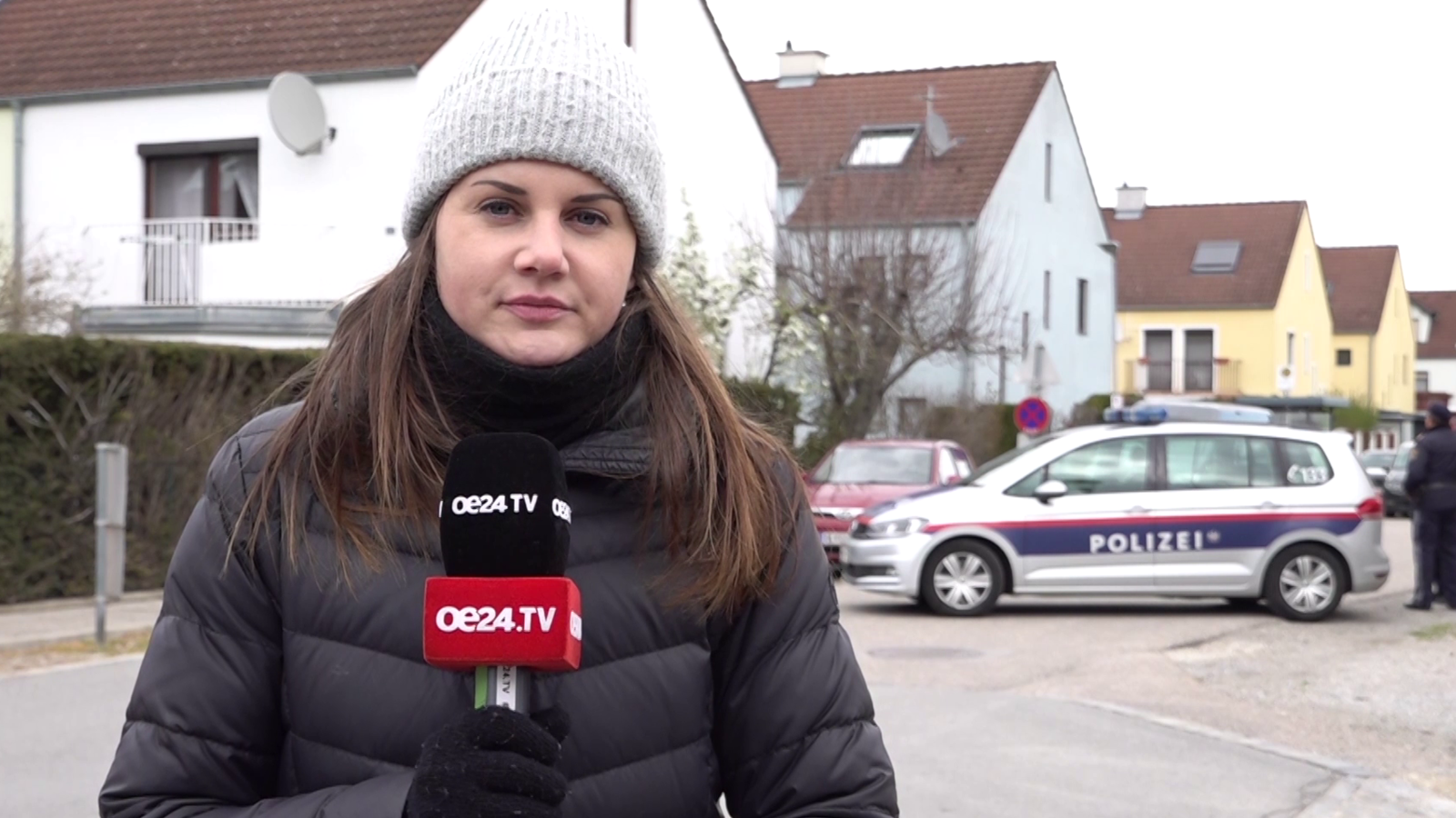 Bluttat Mann Ersticht Mutter Im Bezirk G Nserndorf Oe At